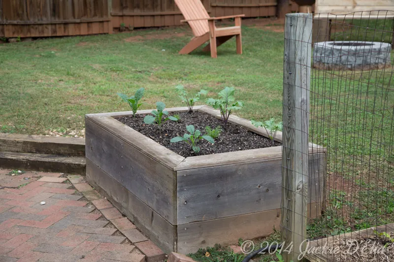 Raised Bed from Cedar