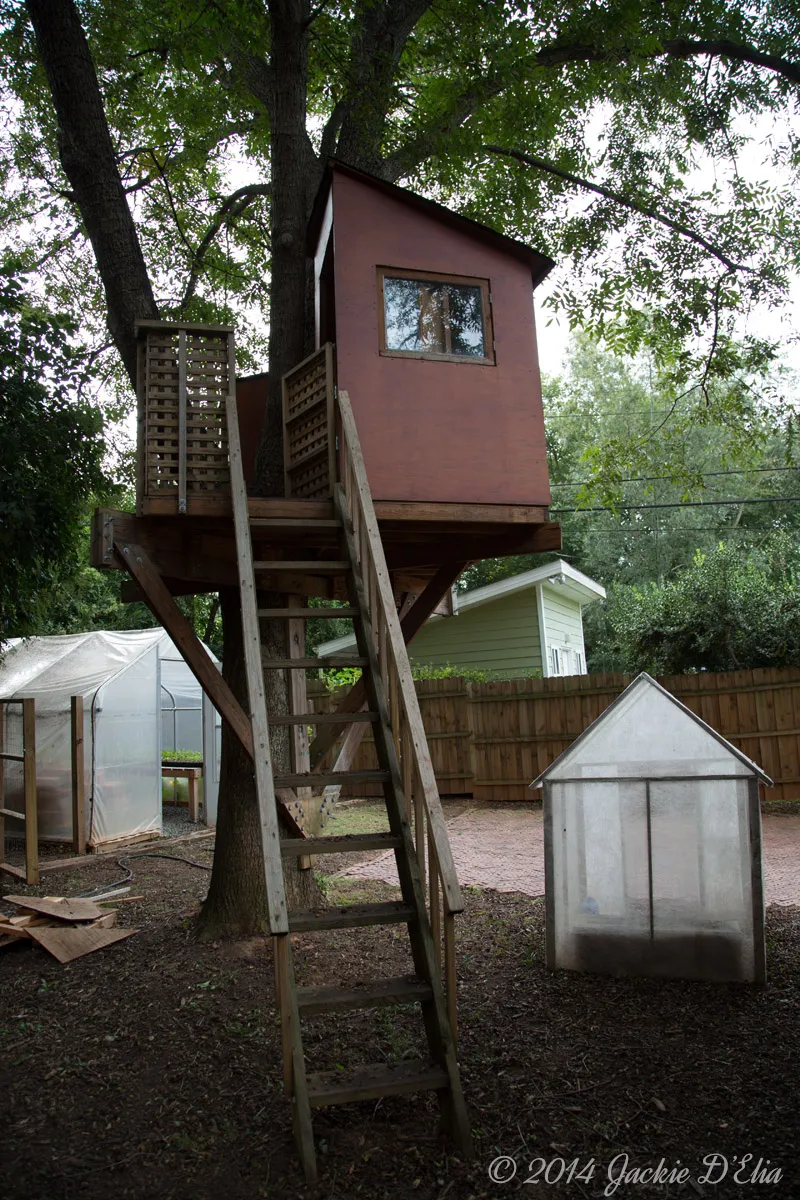 First Project was this treehouse