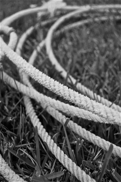 A black and white photo of ropes in the grass.