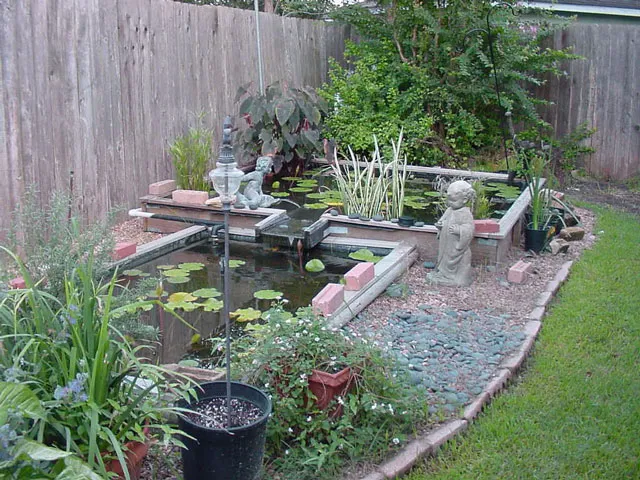 Water Garden in September 2001
