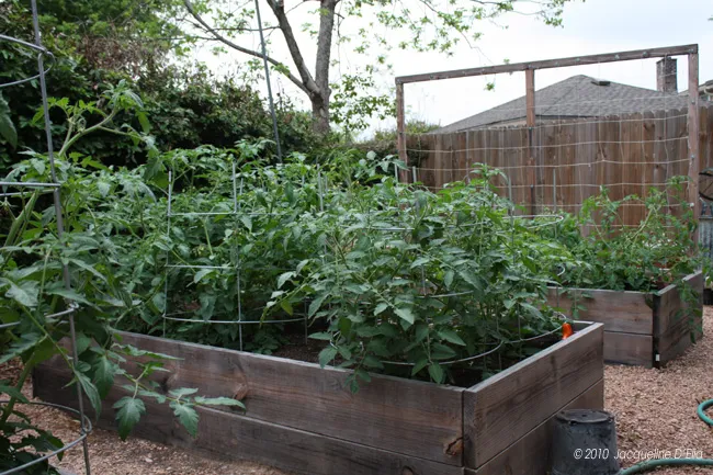 A wooden raised garden bed.