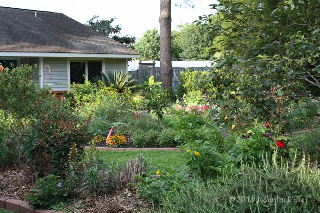A house with a garden in front of it.
