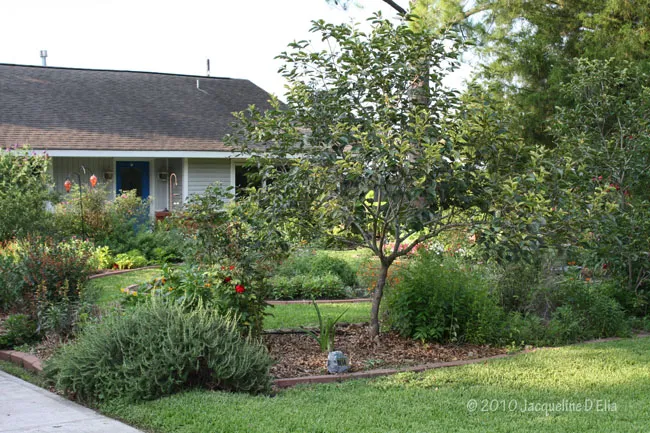 A house with a garden in front of it.