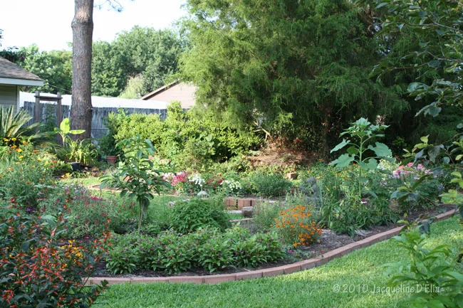 A garden in a yard.