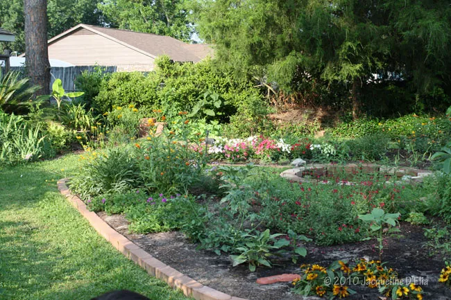 A flower garden in a yard.