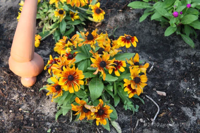 A garden hose with flowers in the ground.