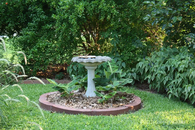 A birdbath in the middle of a garden.