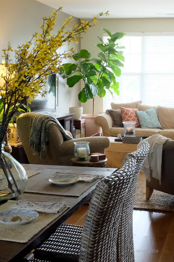 Fiddle-leaf fig