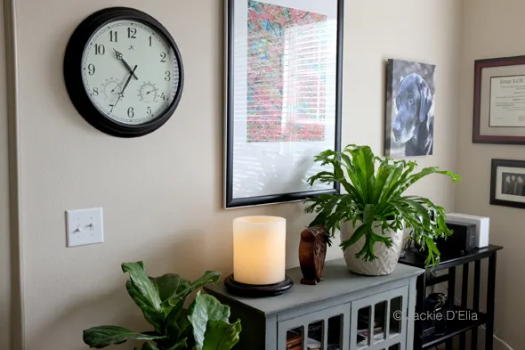 Office design with cabinet storage and foliage
