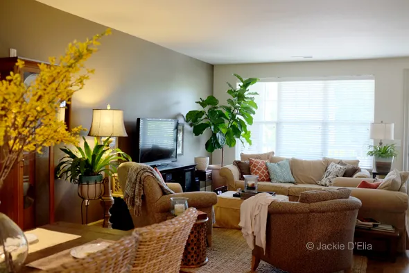 Living room design with foliage and colorful pillows
