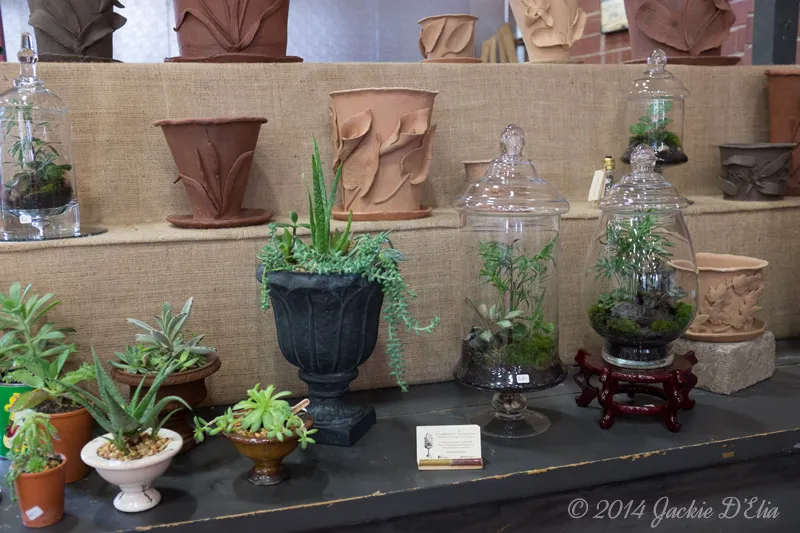 Glass Jar Terrariums