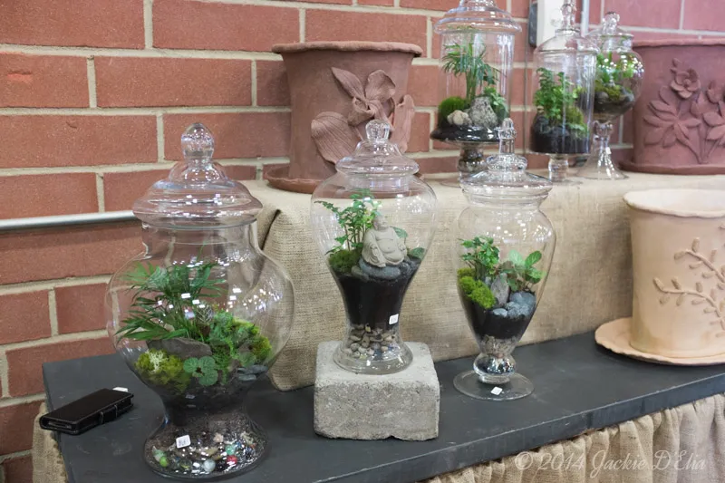 Glass Jar Terrariums
