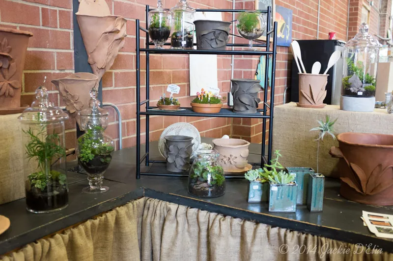 Glass Jar Terrariums