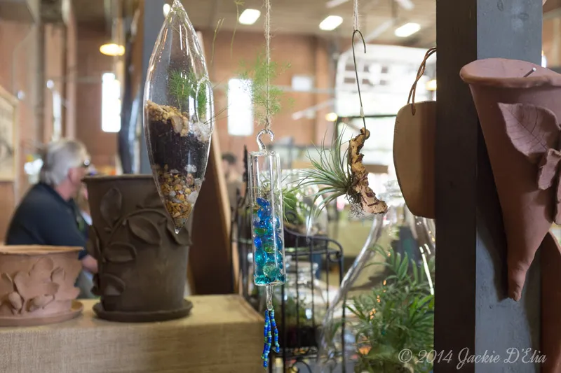 Glass Jar Terrariums