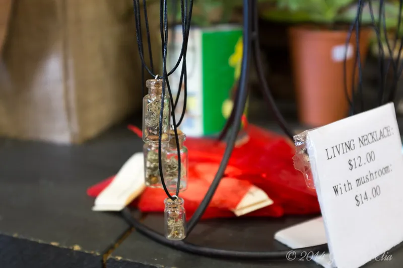 terrarium necklaces