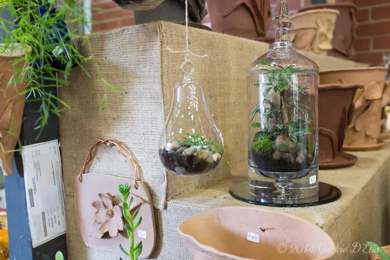 Hanging Glass Jar Terrariums
