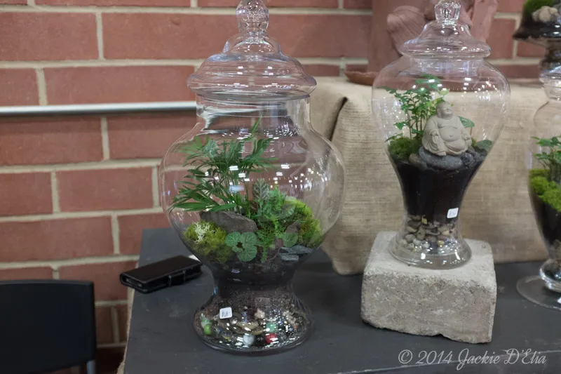 Glass Jar Terrariums