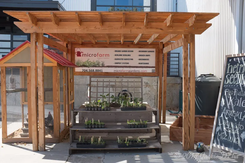 Microfarm Organic Garden Display