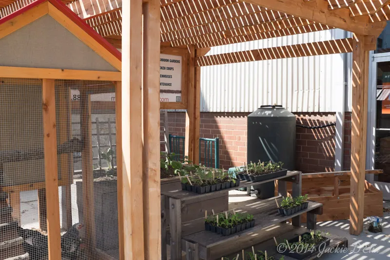 Rain Barrel and Cold Frame