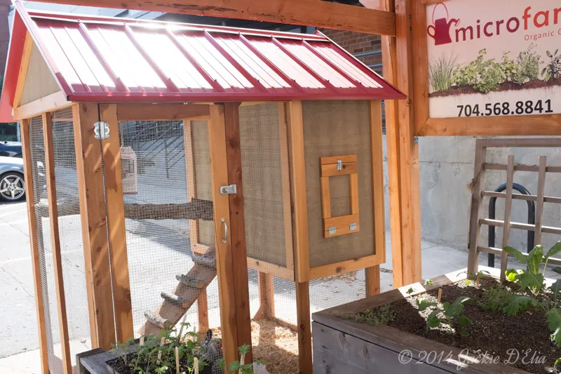 Chicken Coop Display at Atherton Mill