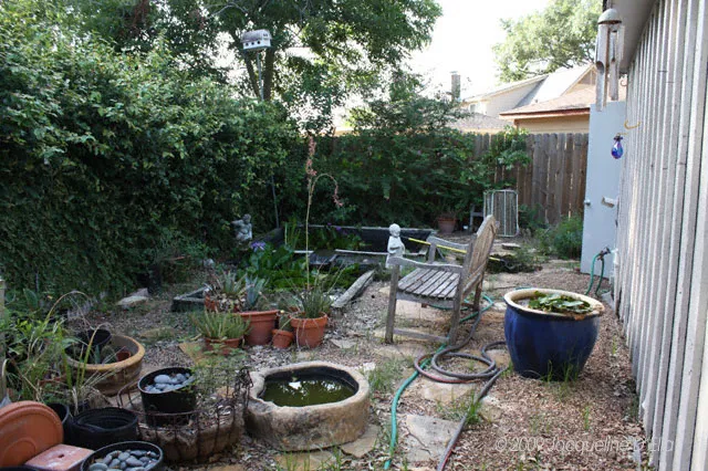 Garden Before Photo