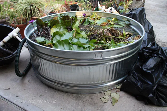 A large metal tub filled with weeds and plants.