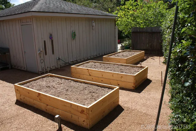 Three raised garden beds in a backyard.