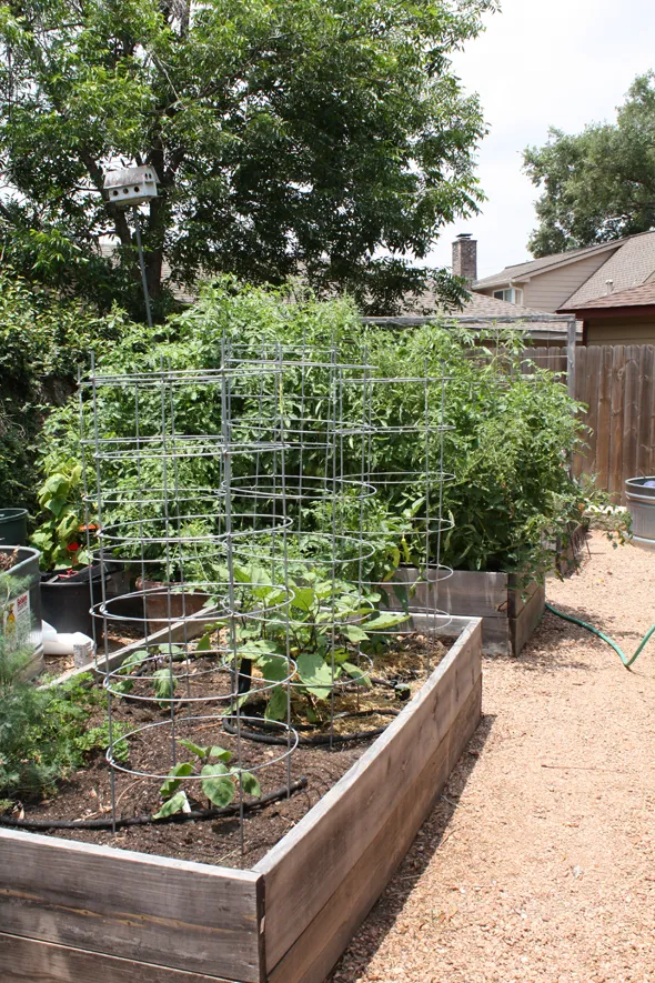 A wooden raised garden bed.