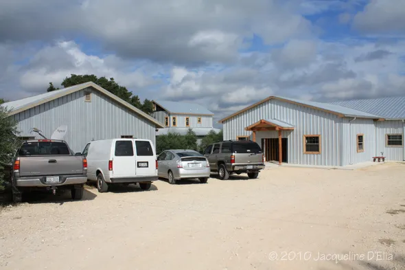 A group of cars parked in front of a building.