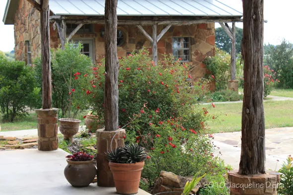 A wooden porch with potted plants.