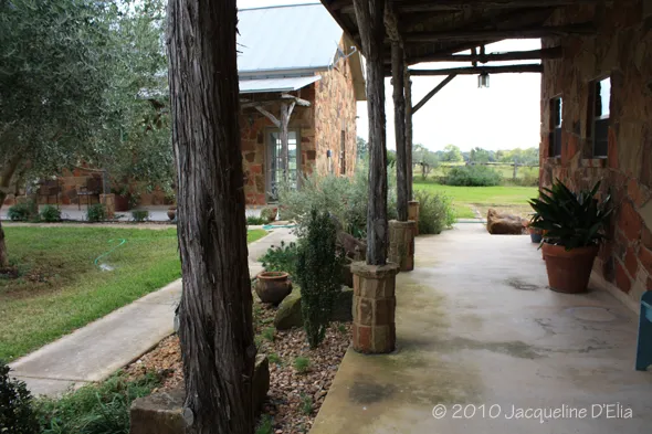 A wooden porch with a potted plant on it.