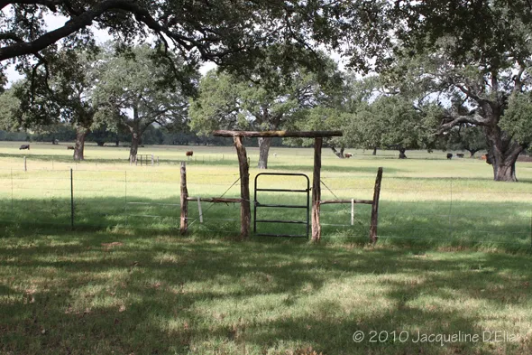 A wooden gate in the middle of a grassy field.