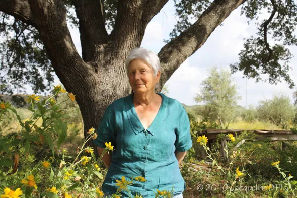 A woman standing under a tree in a field of flowers.