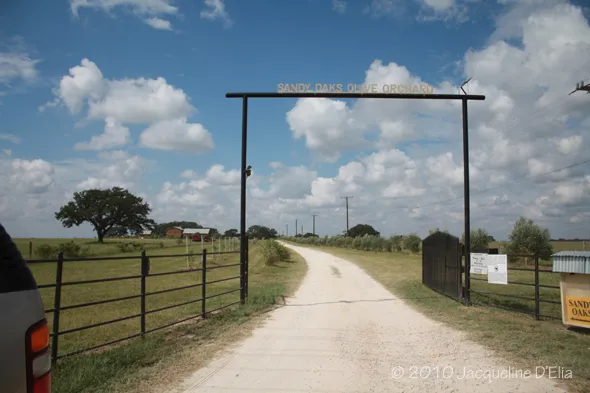 A dirt road with a gate leading to a farm.