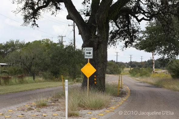 A road with a sign next to a tree.