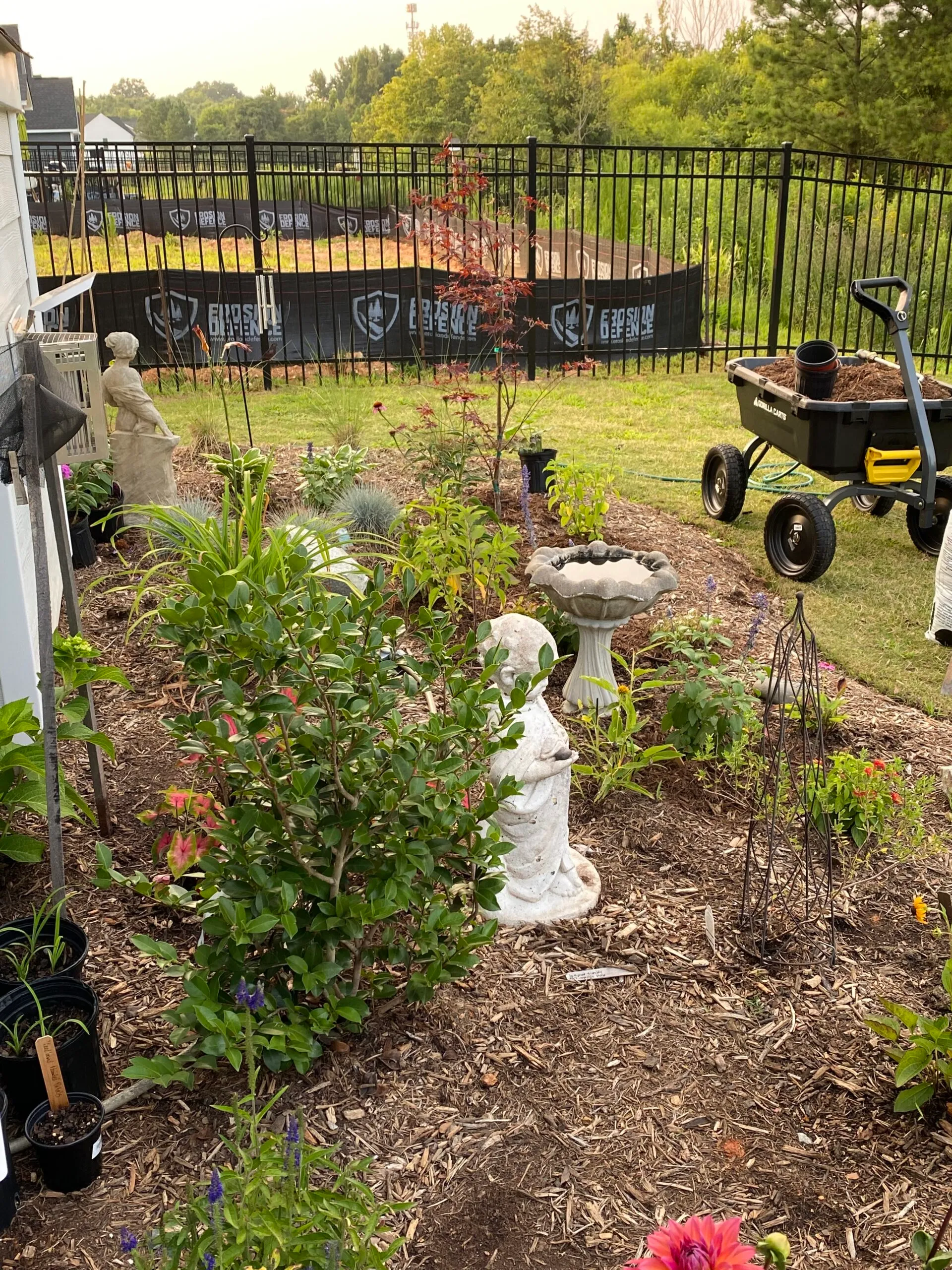 Garden bed with plantings and gorilla cart filled with mulch.