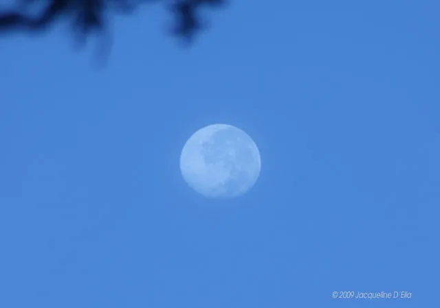 The moon is seen through a clear blue sky.