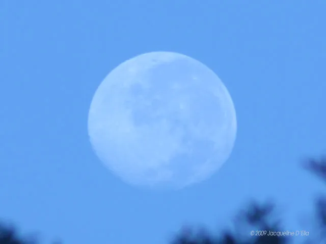 The moon is seen through a clear blue sky.