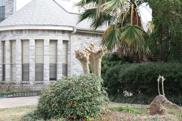A tree in front of a house.