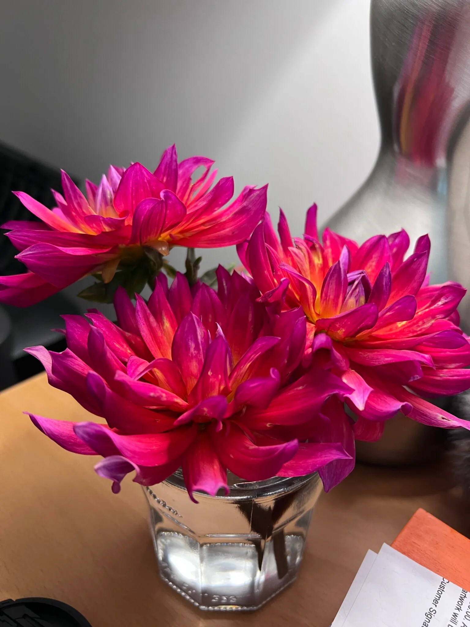 Dahlia 'Firepot' in bloom