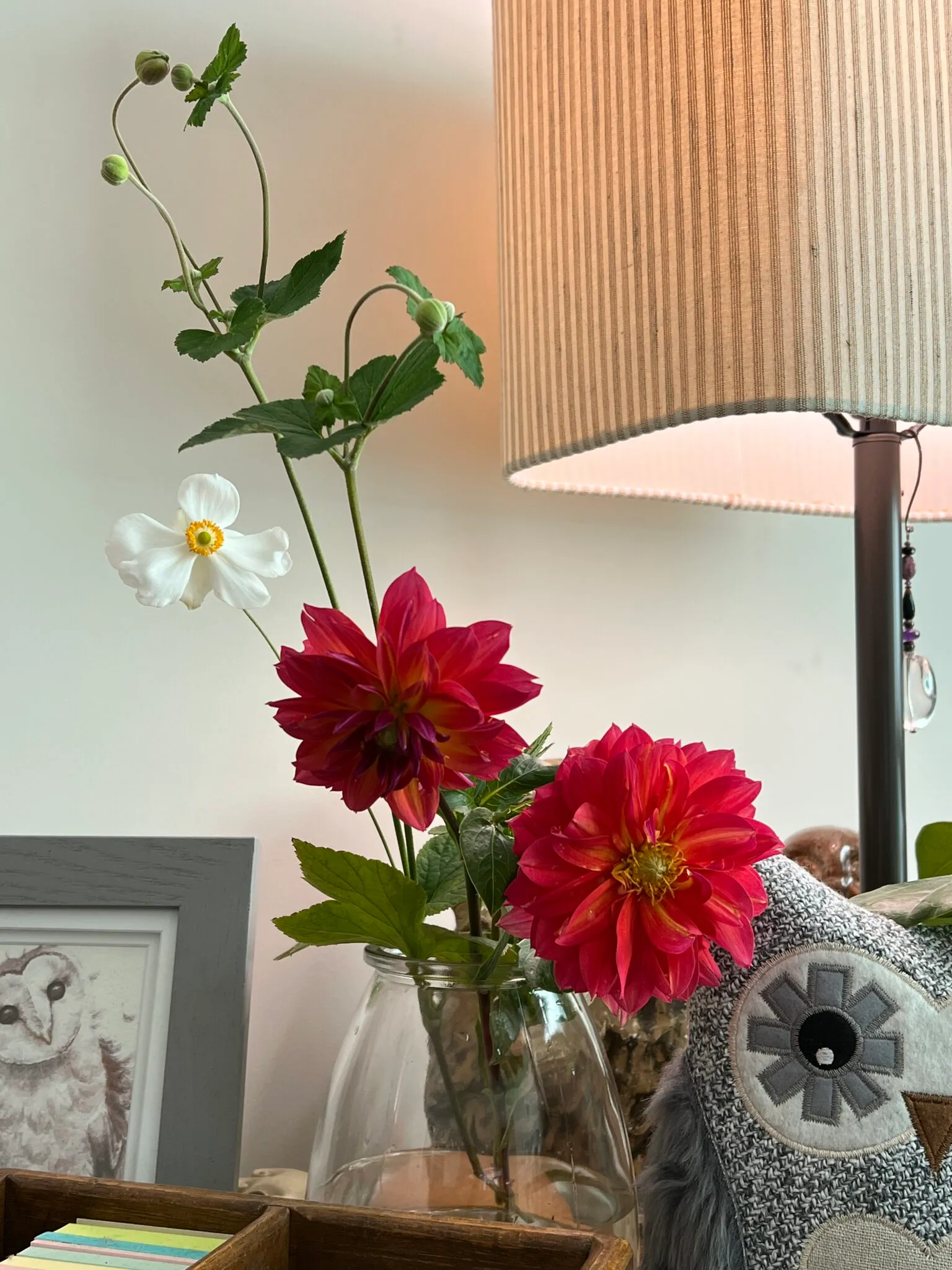 Dahlia 'Firepot' in vase with Japanese Anemone