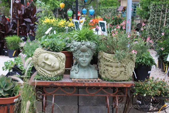 A table with potted plants on it.