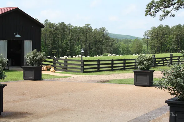 A black barn in the middle of a field.