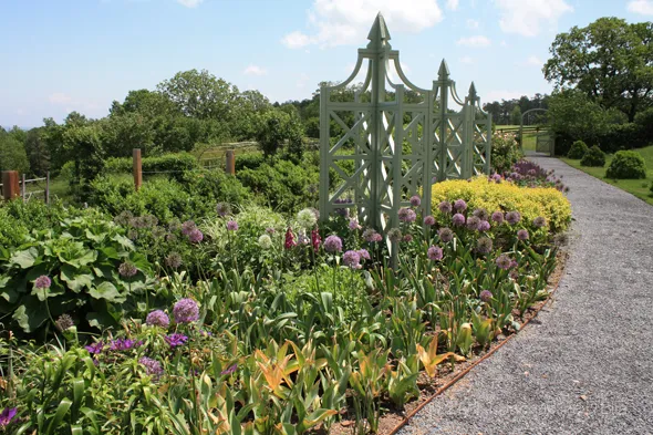 A garden with a fence and flowers.