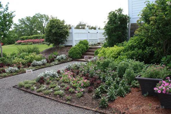 A garden with a lot of potted plants.