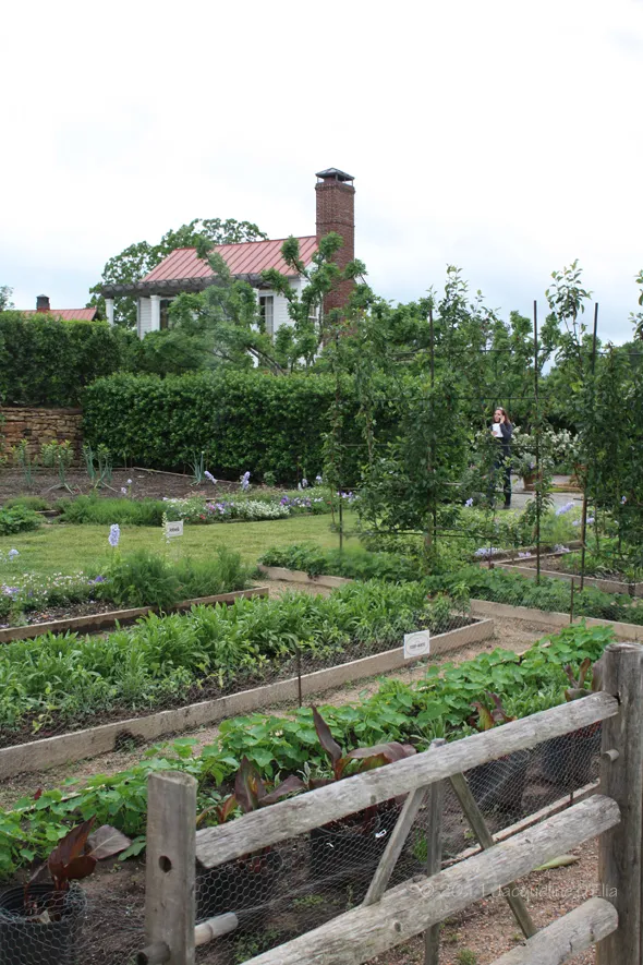 A wooden fence in a garden.
