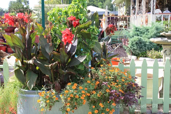 Inspiring displays