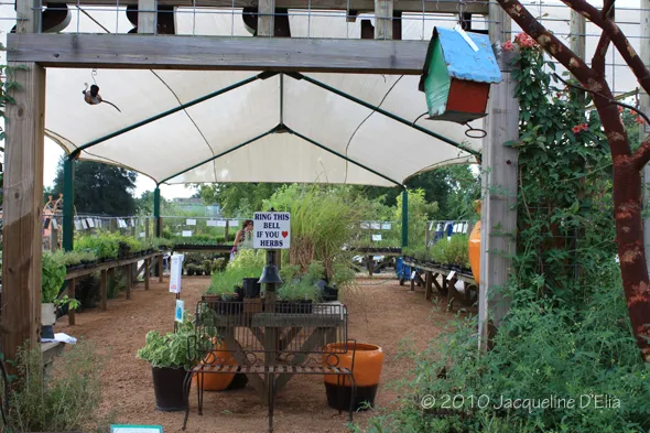 A greenhouse with a lot of potted plants.