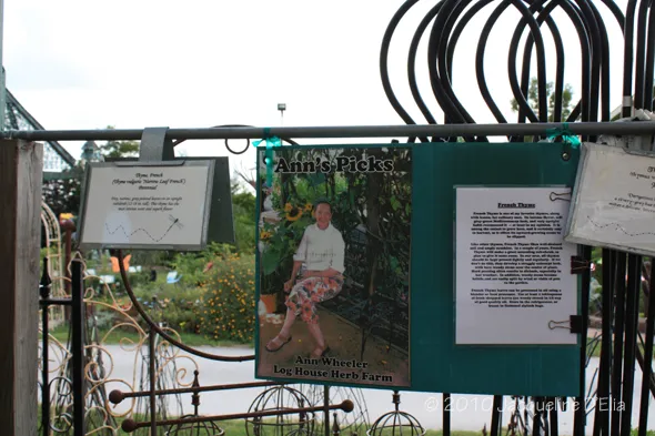 A metal fence with a woman's picture on it.