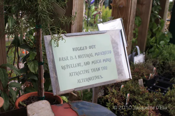 A sign in a garden.